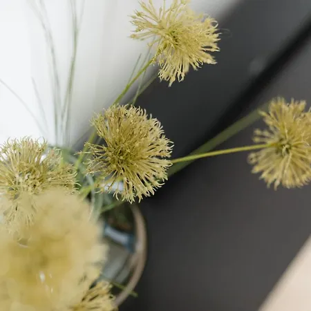 Апартаменты Kuesten Sued - Seitliche Wasserlage, Terrasse, 70qm